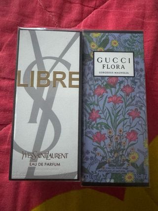 Profumi Gucci e Yves Saint Laurent