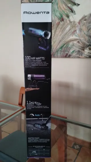 Aspiradora Rowenta X-Force Flex 9.60