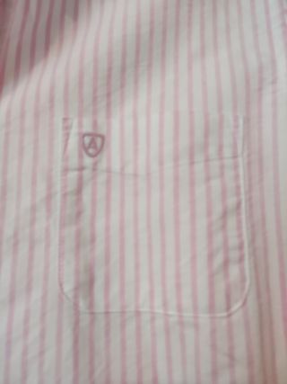 Camisa oxford rayas rosas sobre blanco