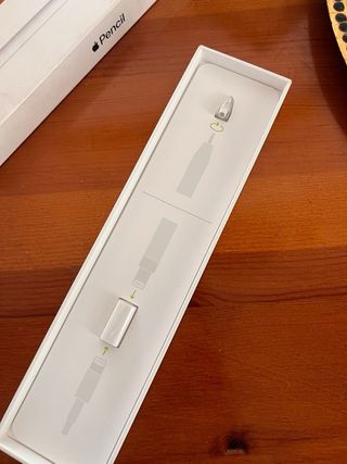 Apple Pencil di prima generazione