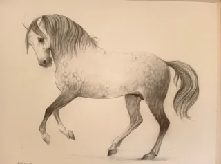 Due incisioni di cavalli firmate