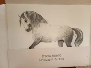 Due incisioni di cavalli firmate