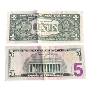 Veri dollari americani