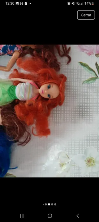 Lote de cabezas de Barbie