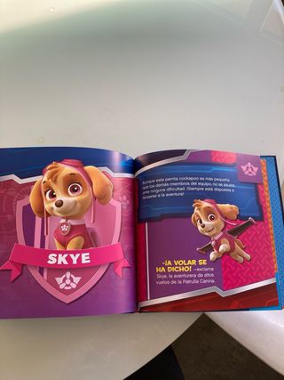 Paw Patrol | Patrulla Canina. Un cuento - ¡Cach...