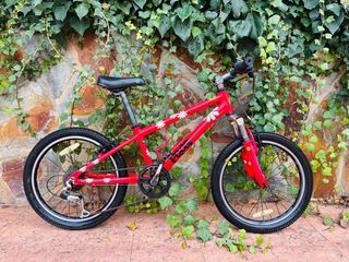 Bicicleta Infantile Frog 20