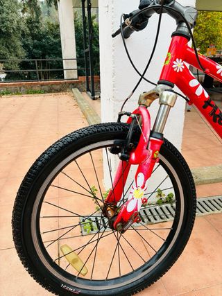 Bicicleta Infantile Frog 20