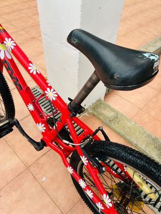 Bicicleta Infantile Frog 20