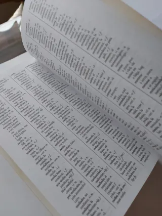 Diccionario rumano-español, español-rumano