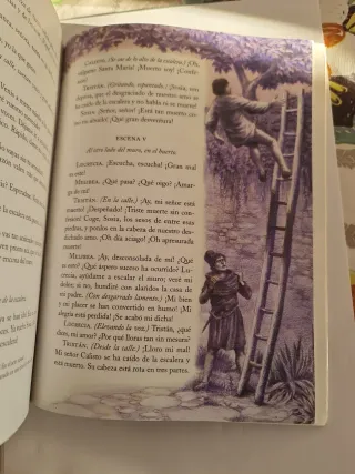 La Celestina - Clasicos Adaptados N/c