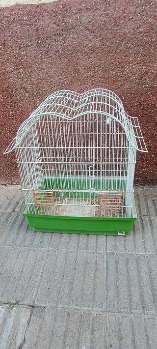 Gabbie per uccelli