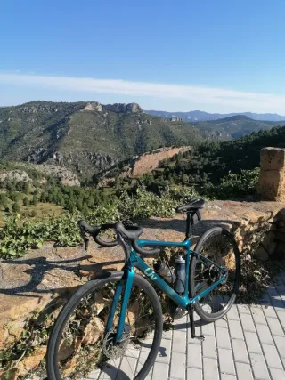 Bicicleta Liv Avail Advanced 1 Carbono Talla S