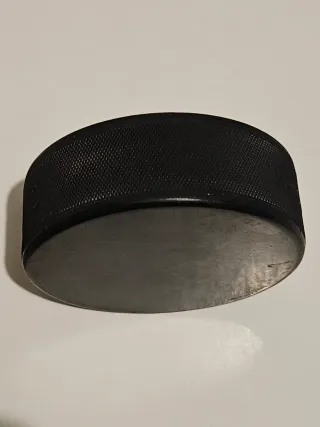 Disco Hockey Herman's World of Sporting Goods