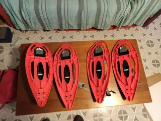 Raquetas de nieve Alpege