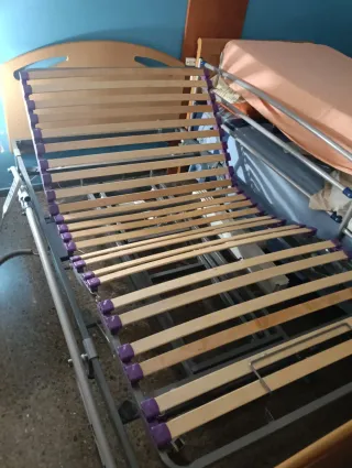 Cama Eléctrica Ajustable