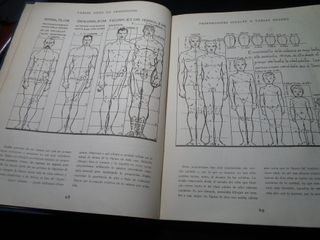 1950Libro Antiguo Dibujo Figura 1950