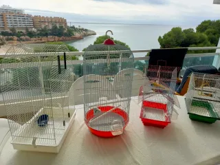 Combo 4 gabbie per uccelli