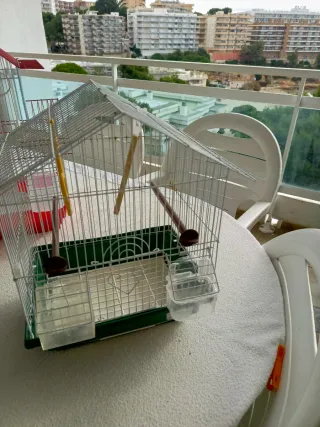 Combo 4 gabbie per uccelli