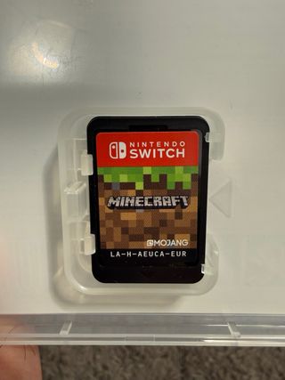 Minecraft Nintendo Switch