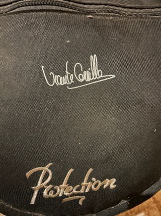 Bandurria con funda poco uso