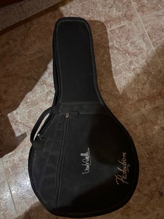 Bandurria con funda poco uso