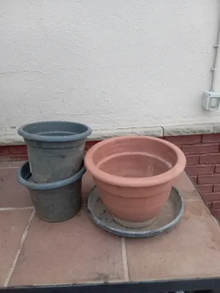 Vasi in ceramica e plastica