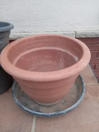 Vasi in ceramica e plastica