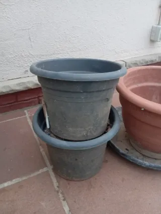 Vasi in ceramica e plastica