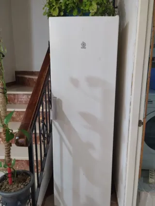 Congelatore verticale ad alta capacità