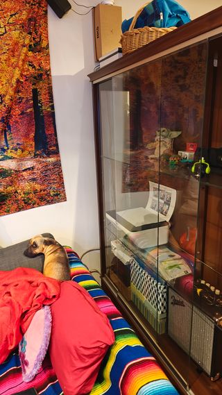 Vitrina de madera y cristal