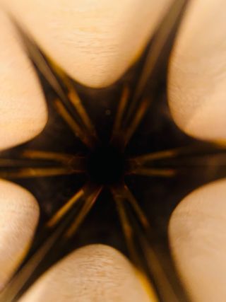 Vaso Murano A.Mandruzzato Cristal Sommerso