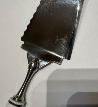 Paletta per torta Richard Ginori