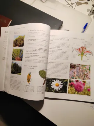 Biología y Geología 1 (Ed. 2024)