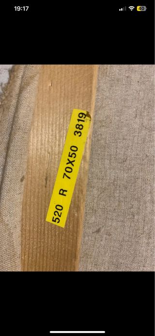 Dipinto con cornice in legno dorato