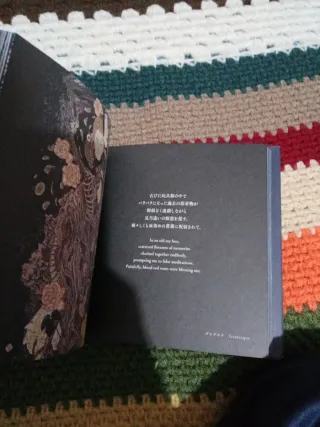 Takato Yamamoto 髑髏の匣