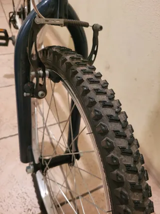 Bicicleta infantil Rockrider ST 120-20 pulgadas