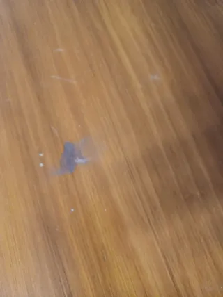 Mesa de madera maciza para bodega