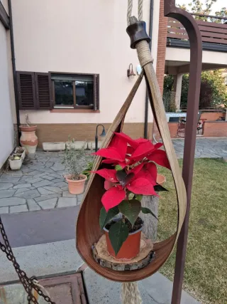 Foglia di cocco naturale porta piante