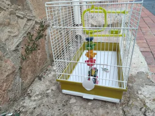 Gabbia grande per uccelli