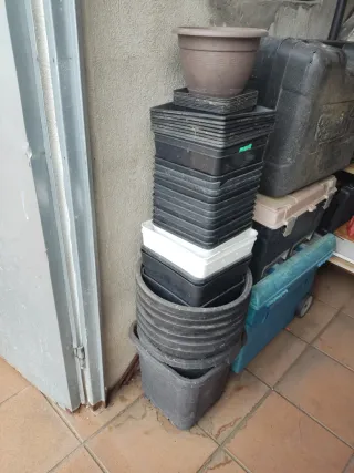 Lote de tiestos y macetas para plantas