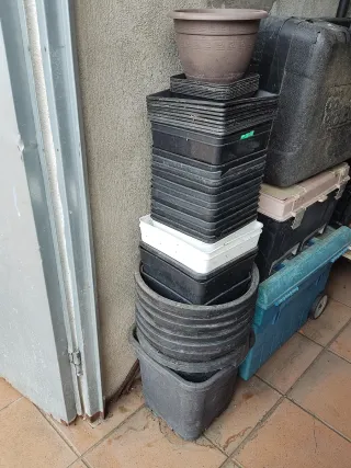 Lote de tiestos y macetas para plantas