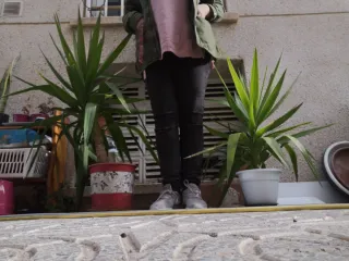 2 Palmeras Yuca - 25€