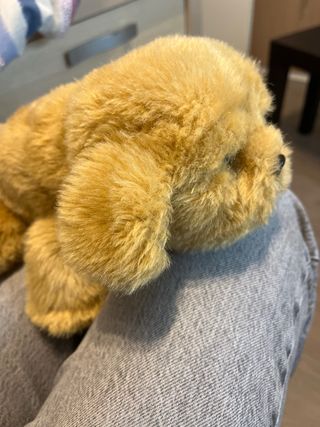 Perro Little Live Pets (sin biberón)