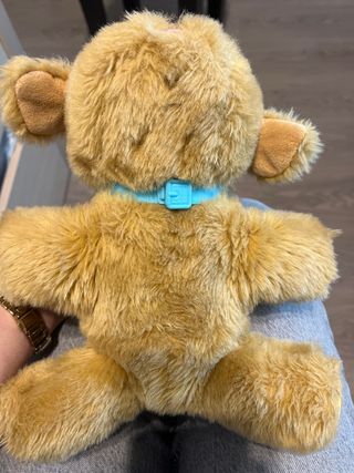 Perro Little Live Pets (sin biberón)