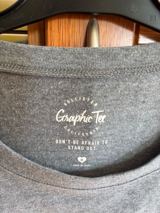 Camiseta Hollister Gris Manga Larga Mujer