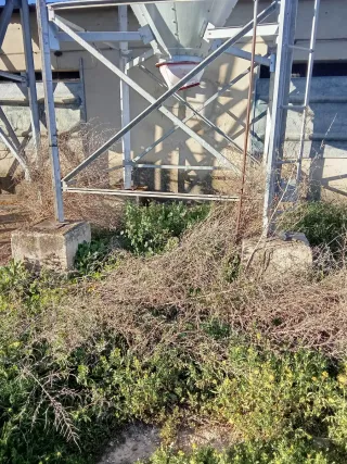 4 Silos de pienso metálicos