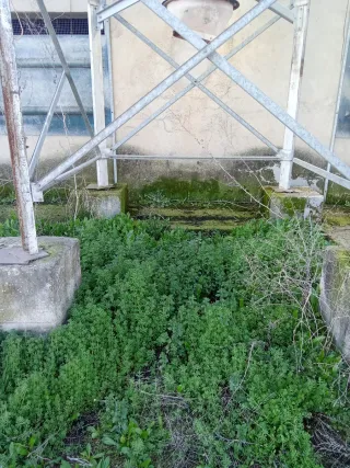 4 Silos de pienso metálicos