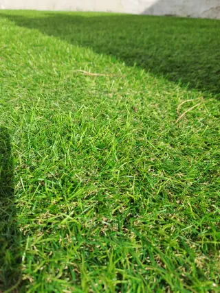 Rollo césped artificial 2x10m. A estrenar.