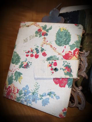 Antiguo diario 1955 adolescente católica