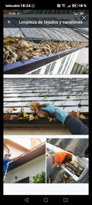 Limpieza tejados y canalones